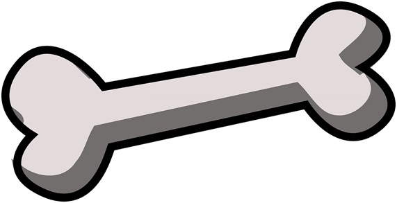 image15