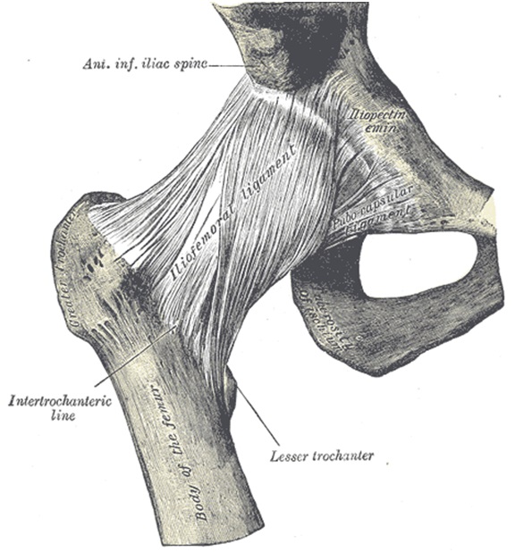 image6